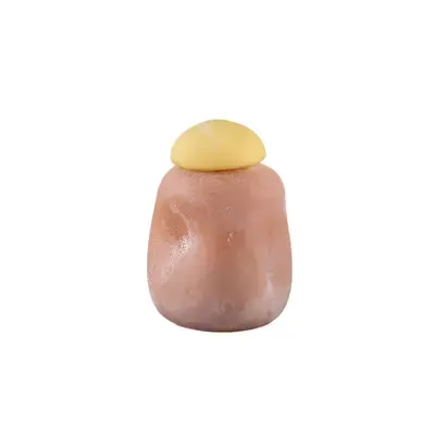 PTMD Karlie Bronze Matte Glass Bulb Vase Yellow Top Koopje